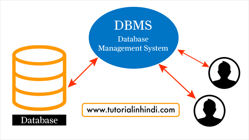 What is DBMS in hindi