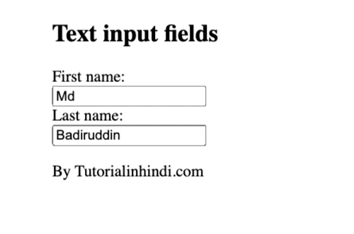 form text input fields
