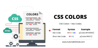 CSS Colors in Hindi Tutorial