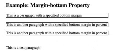 CSS margin bottom property in hindi