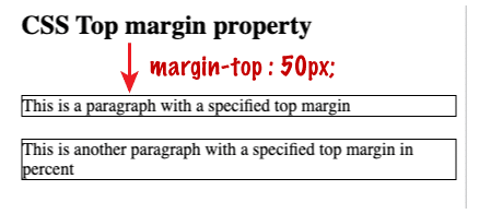 CSS top margin in hindi