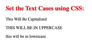 Text cases using css in hindi