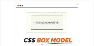 CSS Box Model in Hindi (CSS बॉक्स मॉडल क्या है)