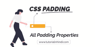 CSS Padding in Hindi (Padding Properties in hindi)