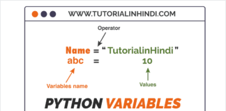 Python Variables in Hindi (पाइथन वेरिएबल क्या है)
