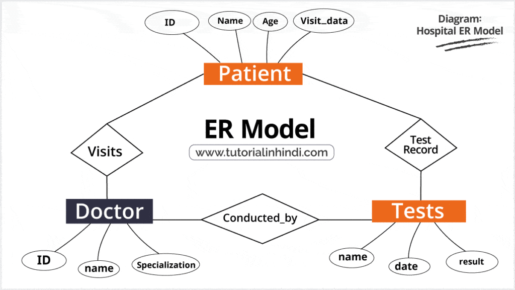 ER मॉडल का उदाहरण (Example of ER model in Hindi)