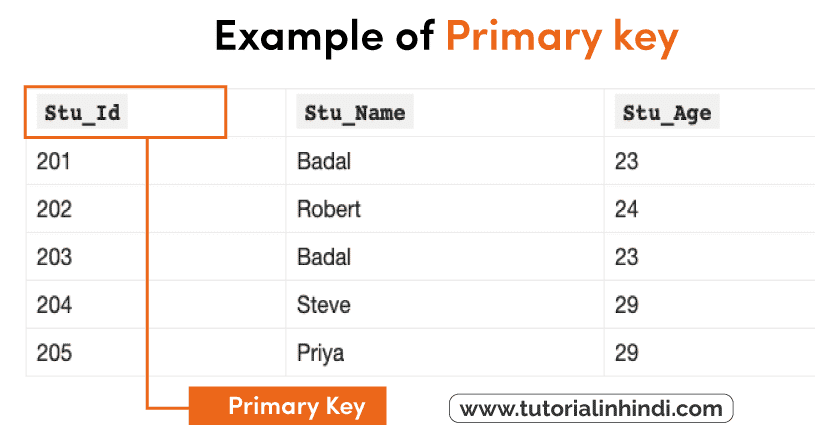 Example of Primary key in DBMS (प्राथमिक कुंजी का उदाहरण)