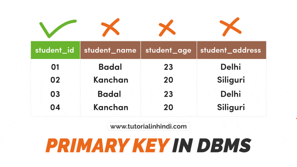 Primary Key in DBMS in Hindi (प्राथमिक कुंजी क्या है)
