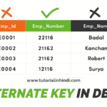 Alternate Key in DBMS in Hindi (वैकल्पिक कुंजी क्या है)