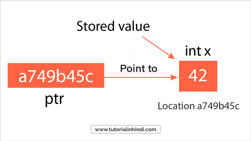 पॉइंटर्स का उदाहरण (Example of Pointers in C)