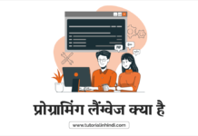 meaning of linear programming in hindi