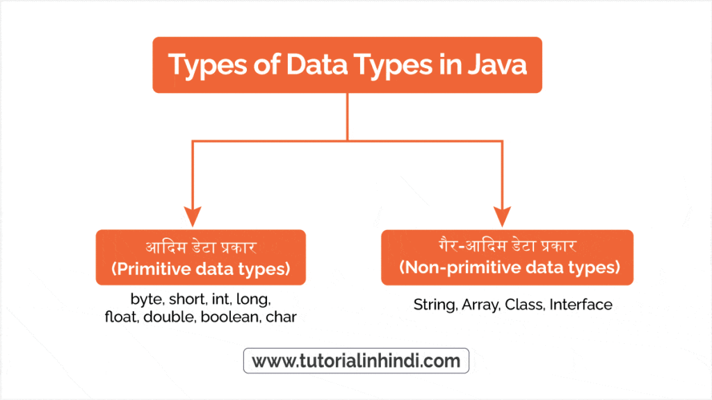 Types of Data Types in Java in Hindi